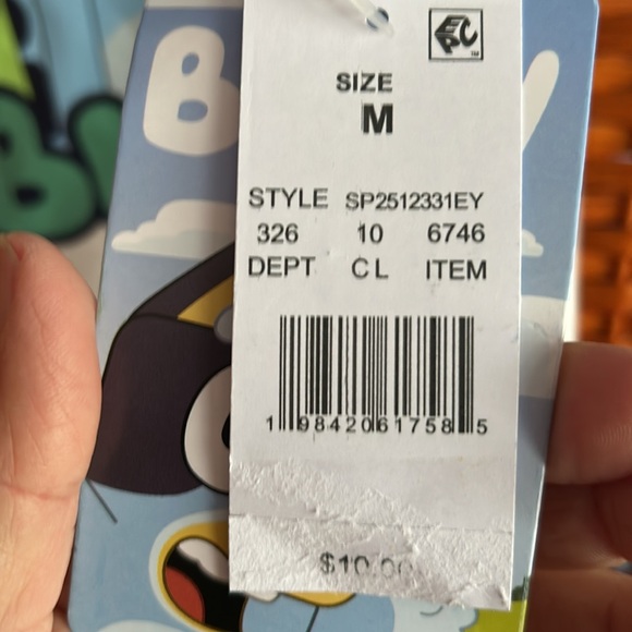 Bluey - Picture 4 of 5